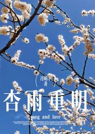 杏雨梨云的意思是什么意思