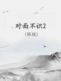 对面不识笔趣阁