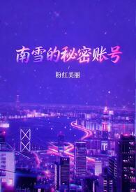 南雪集团