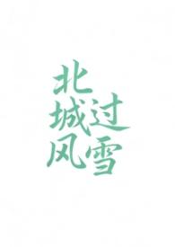北城有雪全文免费