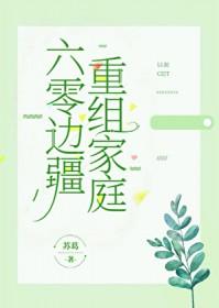 六零边疆重组家庭 作者苏葛