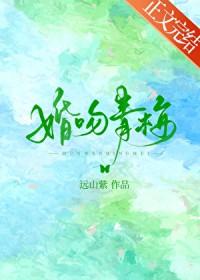 婚吻青梅 番外