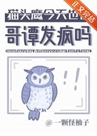 哥谭中猫头鹰法庭