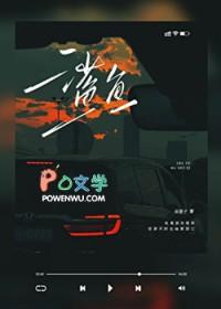 鲨鱼搜索