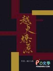 越火燎原by成江入海讲什么