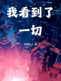 我看到了一切无防盗