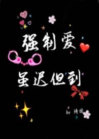 强制爱的车