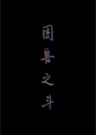 困兽之斗 沈宗年 谭又明
