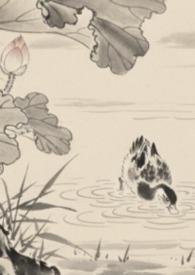 全京城都在等我扑街全文免费阅读