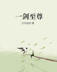 至尊一剑视频