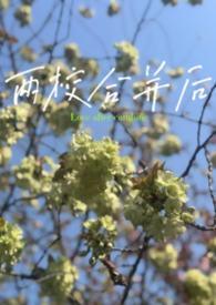 两所学校合并方案