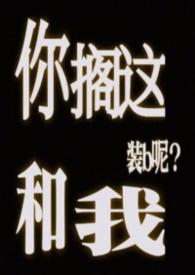 你搁这是哪个地方的方言