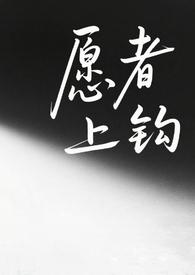 愿者上钩百合文免费