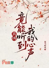 真凶播放