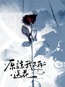 原谅我不再送花txt百度
