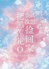 我真没想把黑莲花o捡回家txt