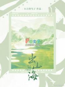 出山海关什么意思