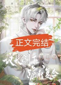 和联邦议长结婚后怎么样了