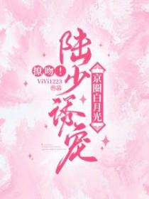 言情陆少