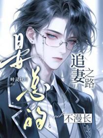 总裁追妻忙
