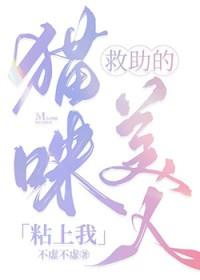 救猫咪 麻烦家伙
