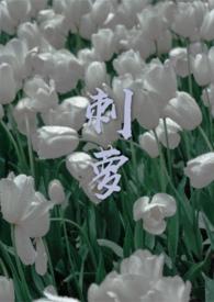 刺萝by结因笔趣阁