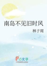 南岛不见旧时风在线阅读