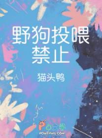 野外的野狗怎么喂小野狗的
