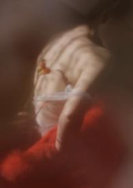 狐狸×仆