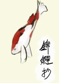 锦鲤抄歌曲原唱