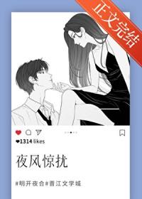 夜风惊扰TXT百度