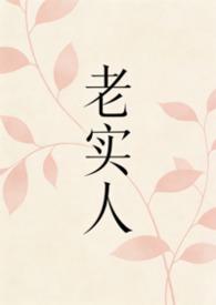 老实人作品集