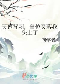 天幕是个啥