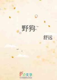 野狗太多了