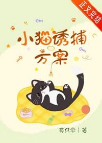 小猫诱捕方案怎么写