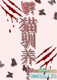 野猫驯养手册by四野深深