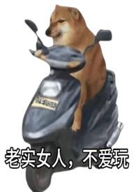 老实女人不爱玩快穿TXT