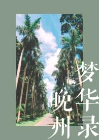 晚州梦华录 在线阅读