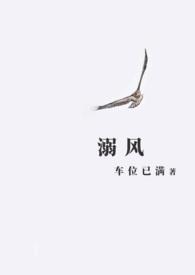 溺风之夏by裴忱洱