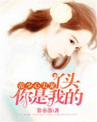 帝少心尖宠:丫头,你是我的